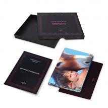 Photo-expression Émotions Comitys - Animer Un Atelier Sur Les Émotions - Comitys