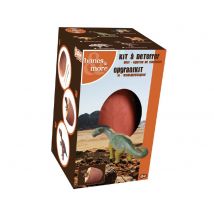 Kit À Déterrer Figurine De Dinosaures - Dam