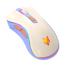 Souris Sans Fil Rechargeable Silencieuse Pour Bureau Et Gaming Avec Lumières Colorées Vert Yonis - Yonis