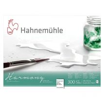 Bloc Aquarelle Harmony 300g/m2 12feuilles Grain Satiné 30x40cm - Hahnemühle
