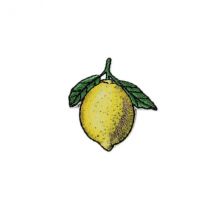 Ecusson Thermocollant Jardin Citron 3cm X 3cm - MyMercerie