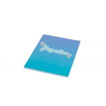 Cahier S'Cool And Co - Popular - Made In France - 17 X 22 Cm - 96 Pages Grands Carreaux - S'cool And Co