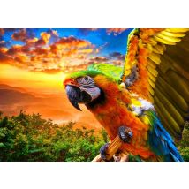 Puzzle 1000 Pièces - Parrot - Bluebird Puzzle