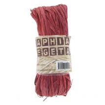 Raphia Végétal Marron 50 G - Ammi