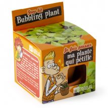 Je Fais Pousser Ma Plante Qui Pétille - Radis et Capucine