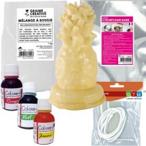 Kit De Fabrication Bougies Ananas - Graine Creative