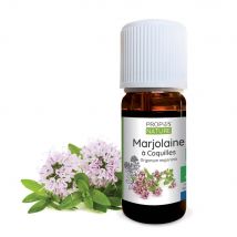 Marjolaine À Coquilles Bio - Huile Essentielle 10 Ml - Propos'Nature