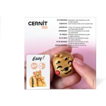 Coffret - Pâte Polymère - Création D'Un Chat - 4 Pains De Pâte 25g + Outils + Notice - Cernit
