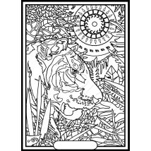 Tableau Velours A Colorier Tigre Gregory Sericolor