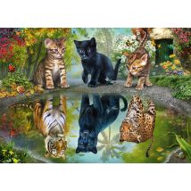 Puzzle 1000 Pièces - Rêvez En Grand ! - Schmidt Spiele