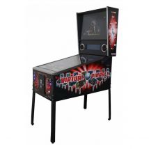 Flipper Virtuel 1080 Jeux - Arcade