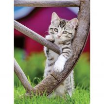Puzzle 2 X 500 Pièces - Les Chatons À La Campagne - Puzzle Adultes Ravensburger