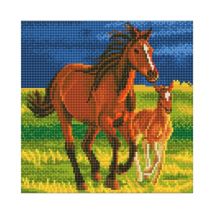 Crystal Art Kit Tableau Broderie Diamant 30x30cm Premiers Galops - Crystal Art