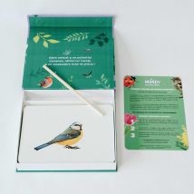 Mondy Des Curieux - 45 Cartes Bilingues Autour De La Nature - Observe Montessori