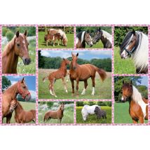 Puzzle 150 Pièces - Rêves De Cheval - Schmidt Spiele