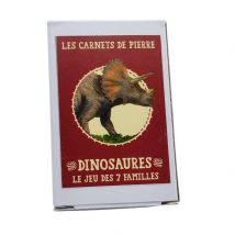 Jeu Des 7 Familles Les Dinosaures - Les carnets de Pierre
