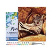 Peinture Par Numéro Figured'art Avec Cadre - Chat Connaisseur - Kit De Loisir Créatif Diy Numéro D'Art Complet - 40x50cm Toile Tendue Sur Châssis