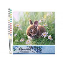 Peinture Par Numéro Figured'art - Lapin Et Marguerites - Kit De Loisir Créatif Diy Numéro D'Art Complet - 40x50cm Sans Châssis En Bois