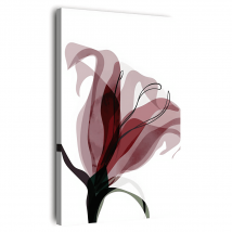 Tableau Sur Toile Fleur Abstraite 45x65 Cm - Ceanothe