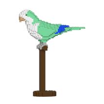 Perruche Veuve | Jekca | 14 Ans Et + - Jekca