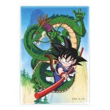Dragon Ball - Aimant Shenron Et Goky - Sd Toys