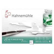 Bloc Aquarelle Harmony 300g/m2 12feuilles Grain Satiné A4 - Hahnemühle