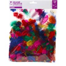 Plumes Pintades Colorées 12,5cm - Graine Creative