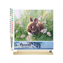 Peinture Par Numéro Figured'art - Lapin Et Marguerites - Kit De Loisir Créatif Diy Numéro D'Art Complet - 40x50cm Toile Roulée + Châssis En Bois À