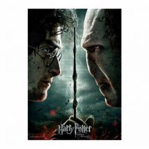 Harry Potter - Puzzle Harry Vs Voldemort - Sd Toys
