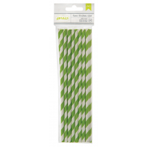 Lot De 24 Pailles En Papier – Coloris Vert - American Crafts
