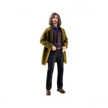 Harry Potter - Poupée Sirius Black 30 Cm - Mattel
