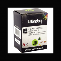 Punaises - Tête Colorée - Affiches, Notes, Photos, Loisirs Créatifs - Boîte De 100 - Wonday