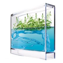 Super Forêt De Fourmis - Antquarium