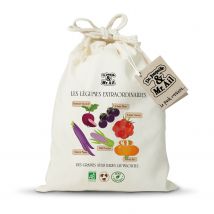 Kit De Graines Bio - Les Légumes Extraordinaires - Dr. Jonquille & Mr. Ail