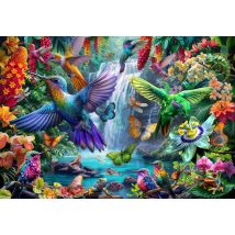 Puzzle 1000 Pièces - Tropical Hummingbirds - Bluebird Puzzle