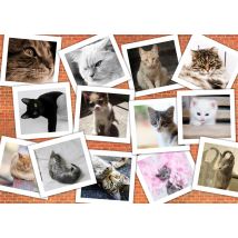 Puzzle 2000 Pièces - Chats - Grafika