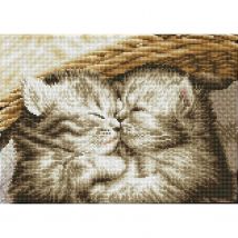 Carré Câlins De Chatons – Intermédiaire - Diamond Dotz