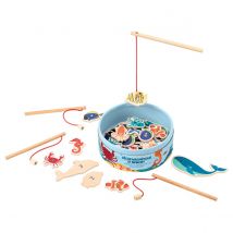 Pêche Magnétique Et Mémory Oxybul