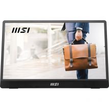 Ecran Pc Msi Pro Mp161 E2