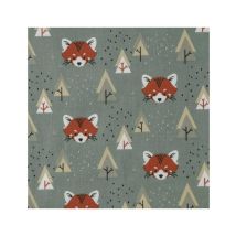 Tissu Enfant Jersey Têtes De Renard 083 Kaki Vendu Par 50 Cm - Distrifil