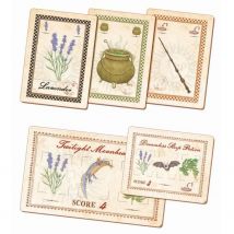 Jeux De Cartes Harry Potter - Clementoni - Potion Making