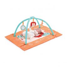 Tapis D'Éveil Lion Moelleux Pour Bébé - Activités Sensorielles Et Motricité - Ludi