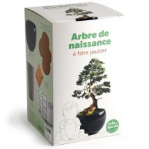 Kit Arbre De Naissance - Cèdre - Radis et Capucine