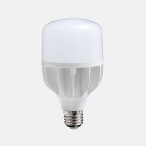 Ampoule Led Lumière Du Jour Daylight 18w - E15800