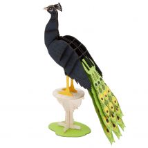Maquette 3d En Papier Paon - Fridolin