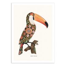 Affiche 30x40 Cm - Boho Toucan - Jonas Loose - Wall Editions