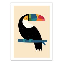Affiche - Rainbow Toucan - Andy Westface - Wall Editions