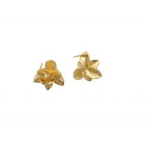 Paire Clous D'Oreilles Fleur Avec 1 Boucle - 15*13.5mm Plaqué Or 18k