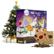 Calendrier De L'Avent Spécial Potager Extraordinaire - Dr. Jonquille & Mr. Ail