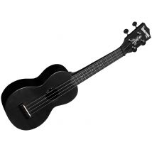 Recycled Waterman Soprano Black Sand Kala